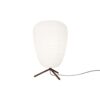 Rituals 1 Table Lamp